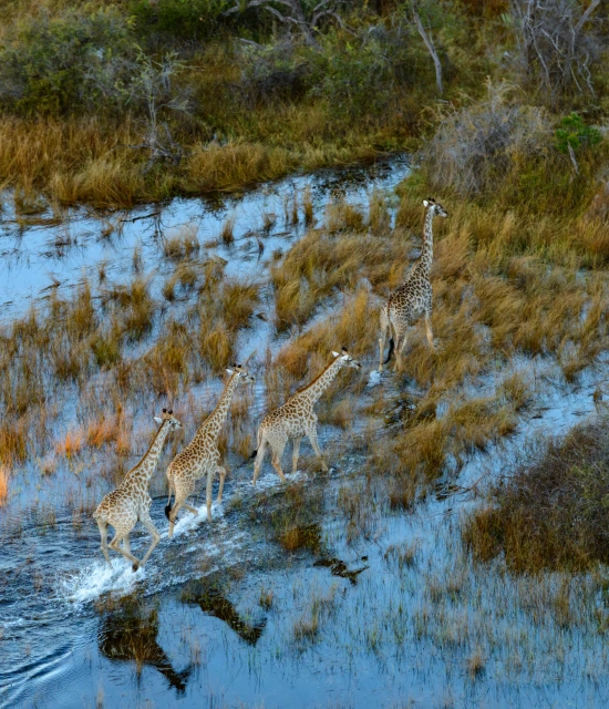 29d77ba8764d7f5360c614355ed770058fcf8b02 scaled